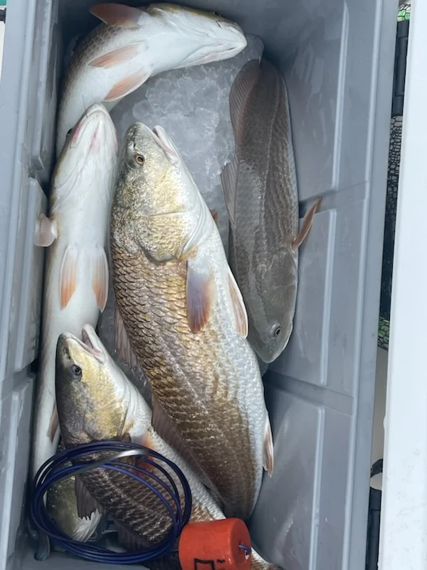 Fishing in Corpus Christi, Texas