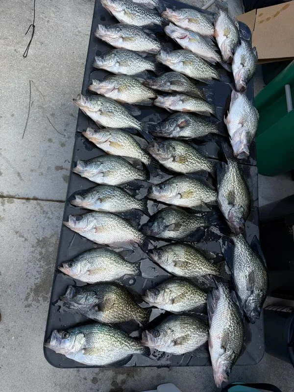 Fishing in Port St. Lucie, Florida