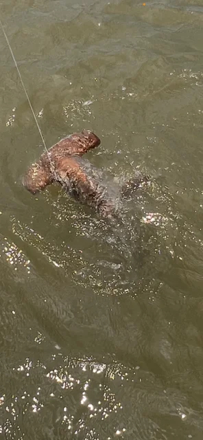 Fishing in Galveston, Texas