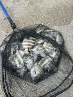 Fishing in St. Augustine, Florida