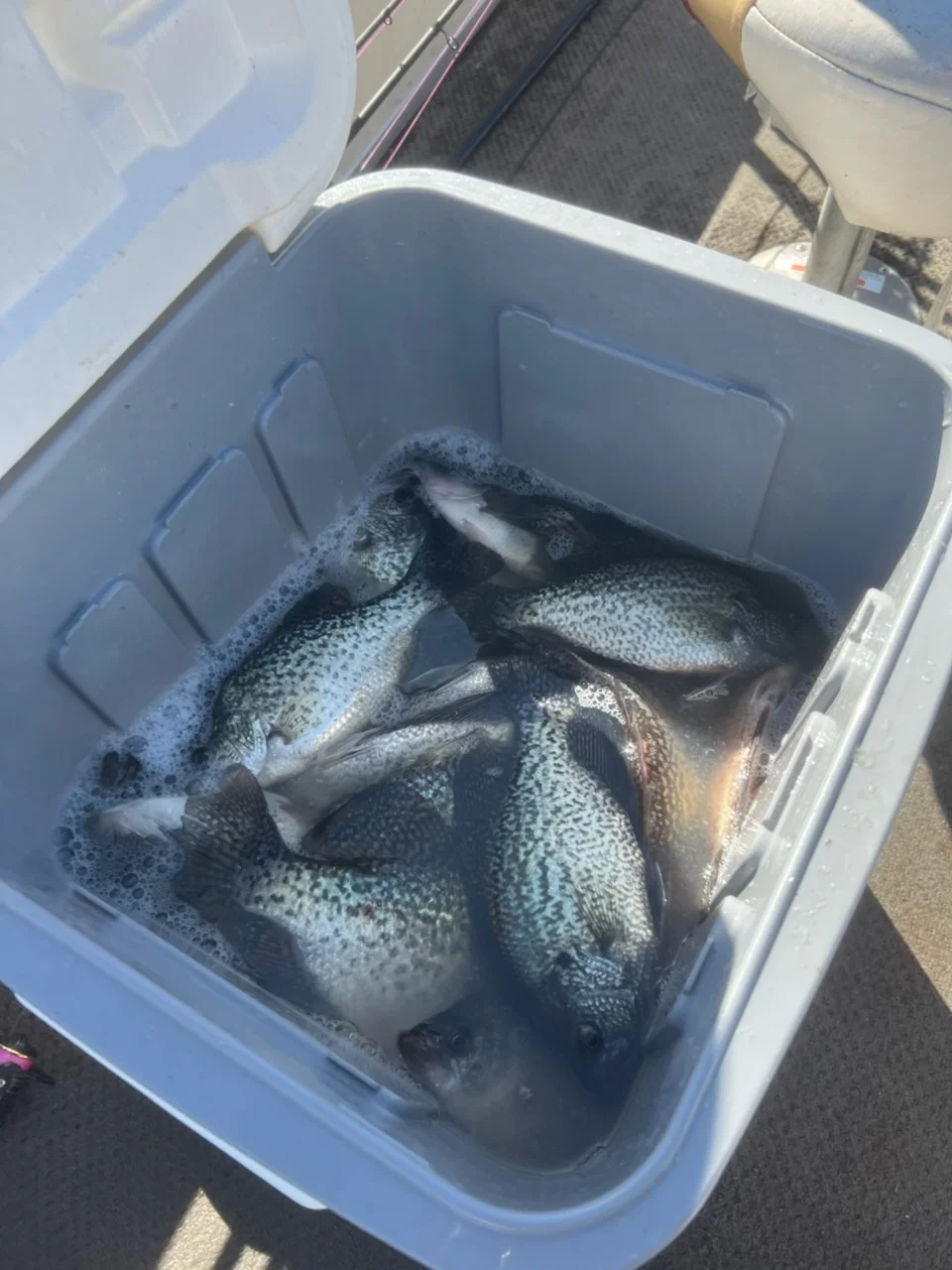 Fishing in Alba, Texas