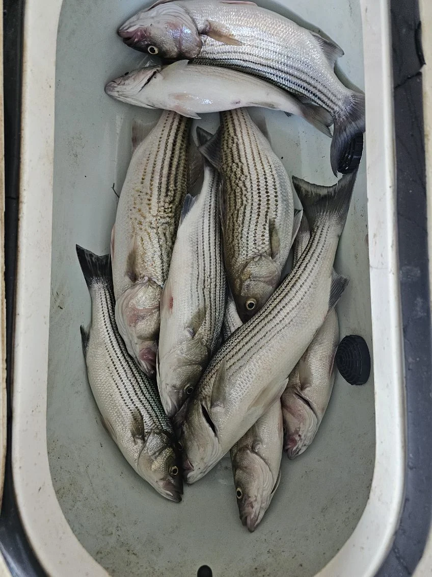 Fishing in Kingston, Oklahoma