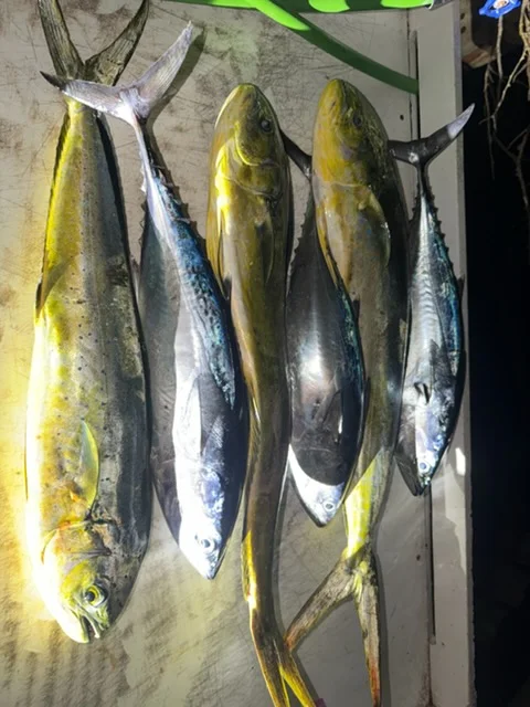 Fishing in Boynton Beach, Florida