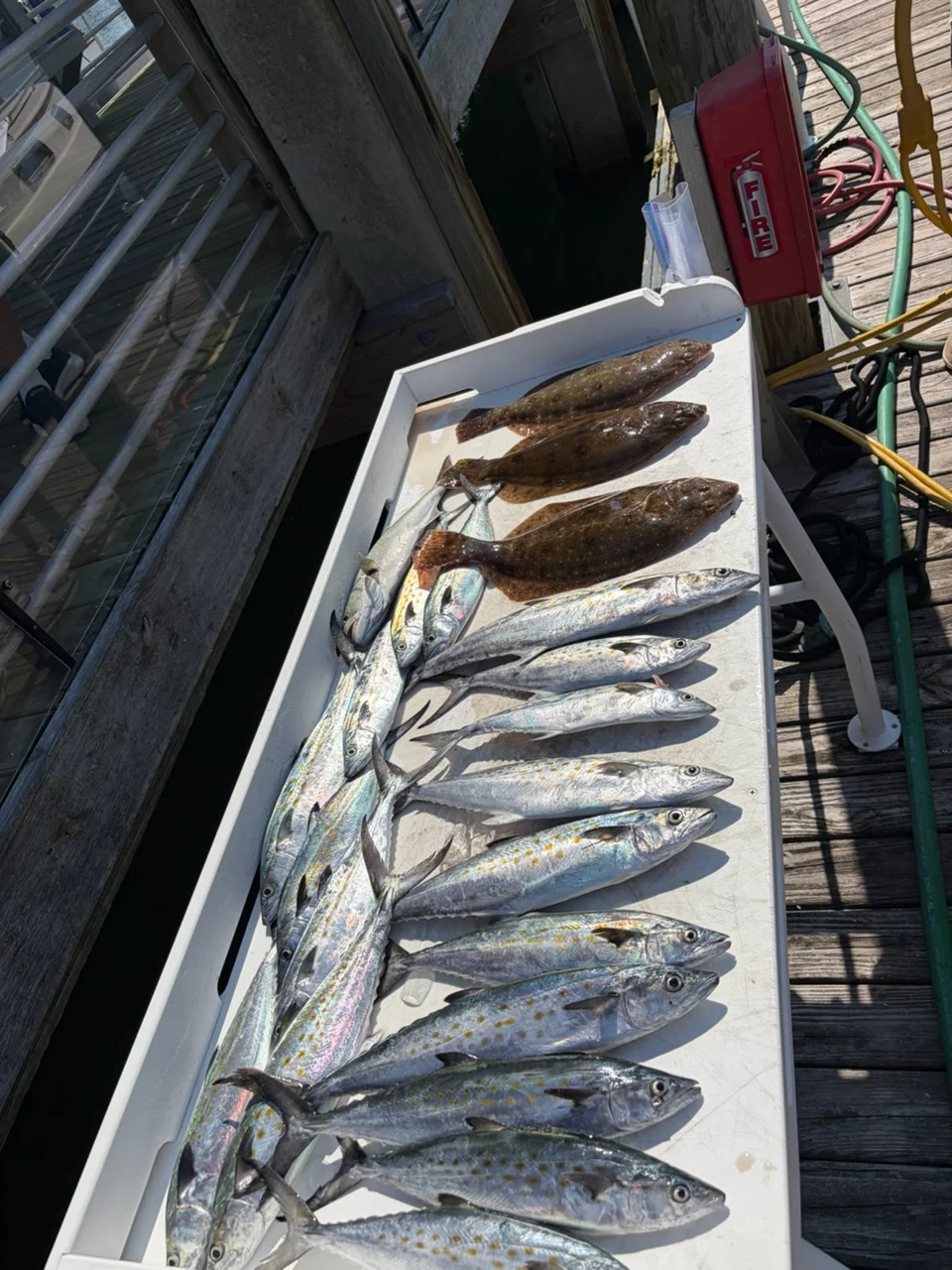 Fishing in Wrightsville Beach, North Carolina