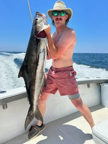 Cobia Fishing in Biloxi, Mississippi