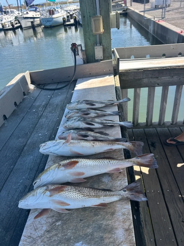 Fishing in Rockport, Texas