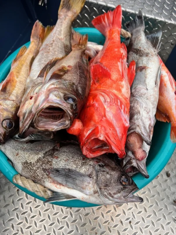Fishing in Richmond, California