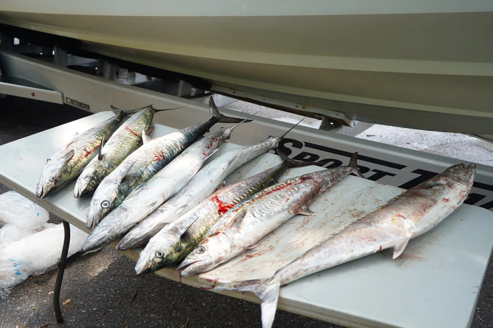 Fishing in Fernandina Beach, Florida