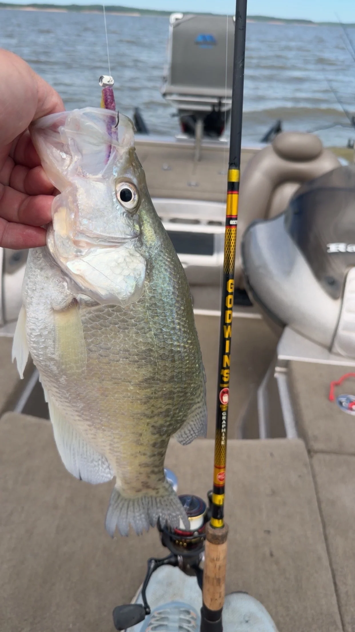 Fishing in Sardis, Mississippi