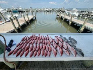 Fishing in Foley, Alabama