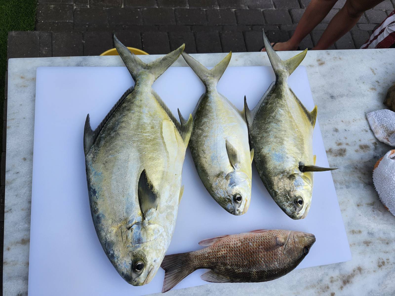 Fishing in Fort Myers Beach, Florida