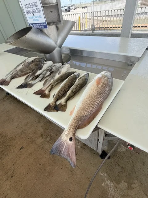 Fishing in Corpus Christi, Texas