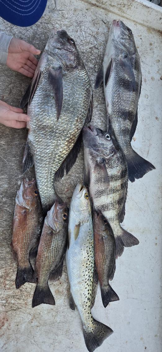 Fishing in Naples, Florida
