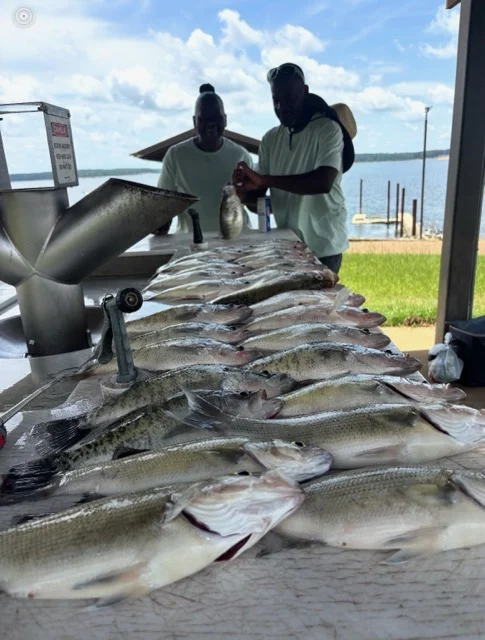 Fishing in Sardis, Mississippi