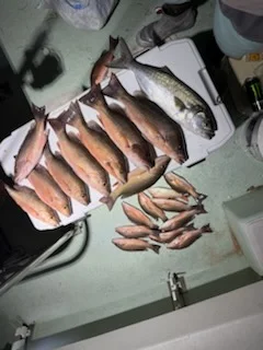 Fishing in Miami, Florida