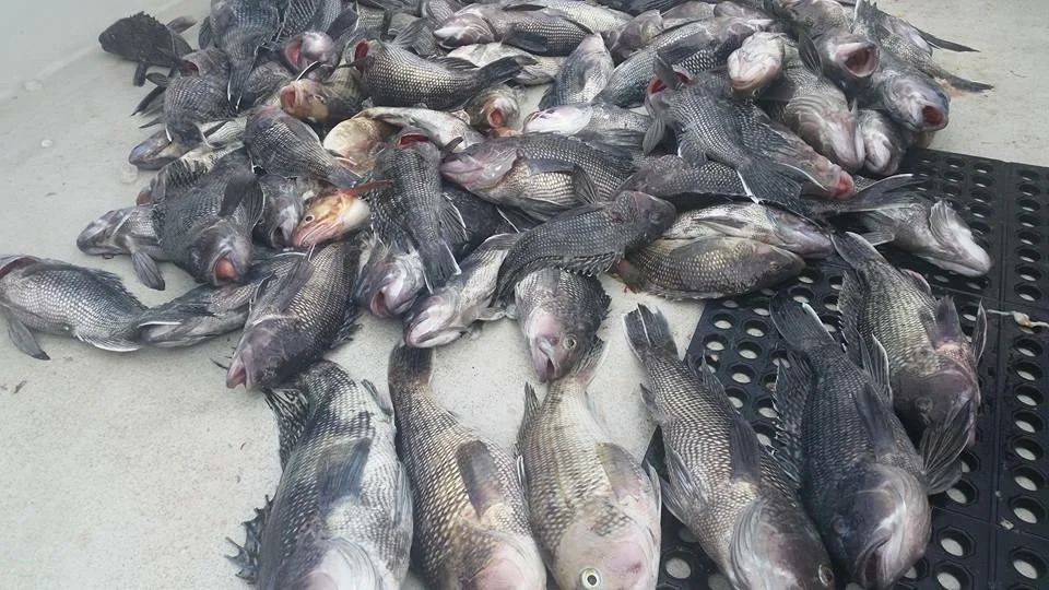 Fishing in Keyport, New Jersey