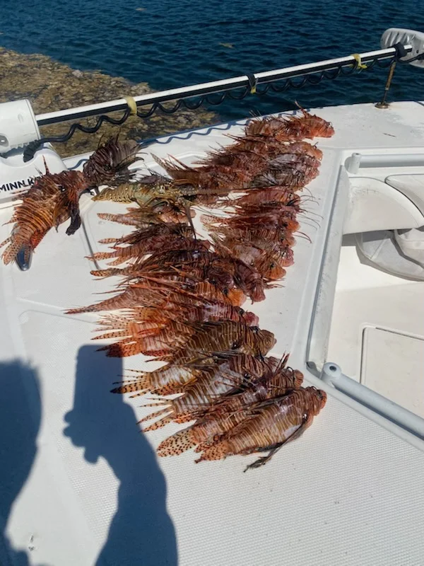 Fishing in Key West, Florida