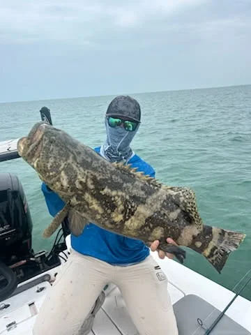 Goliath Grouper Fishing in