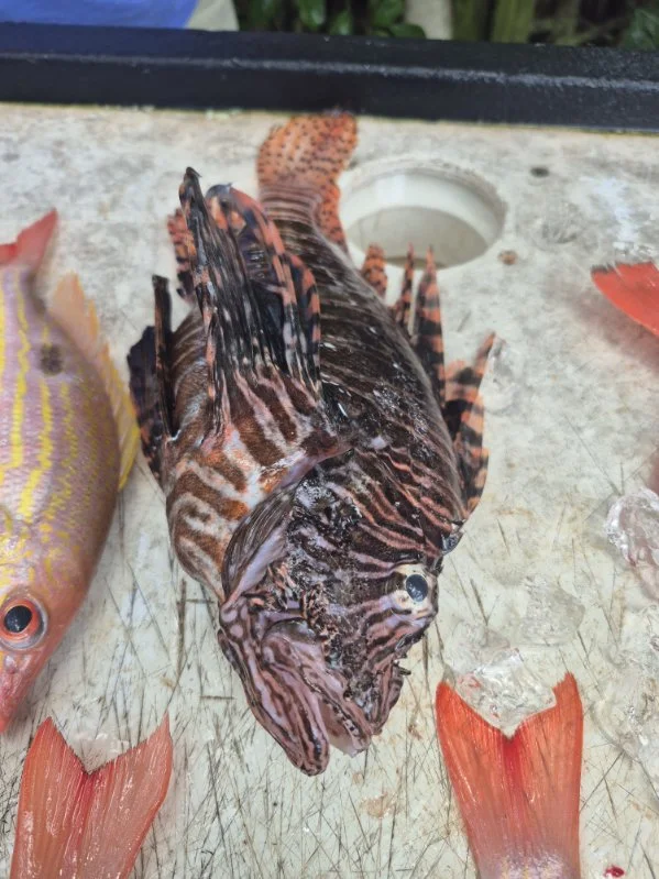 Fishing in Vero Beach, Florida