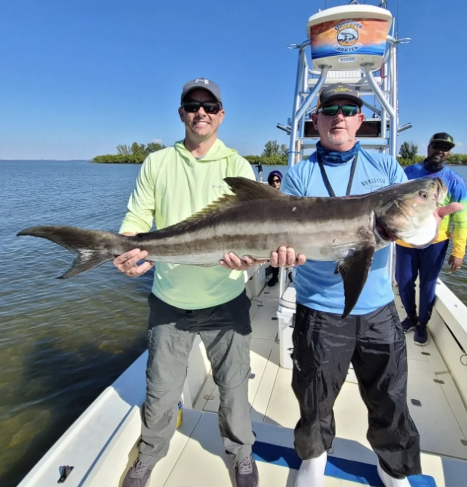 Redfish Fishing in Tampa, Florida
