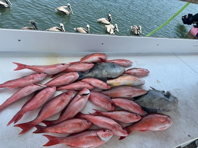 Fishing in Orange Beach, Alabama