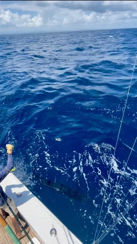 Fishing in San Juan, Puerto Rico