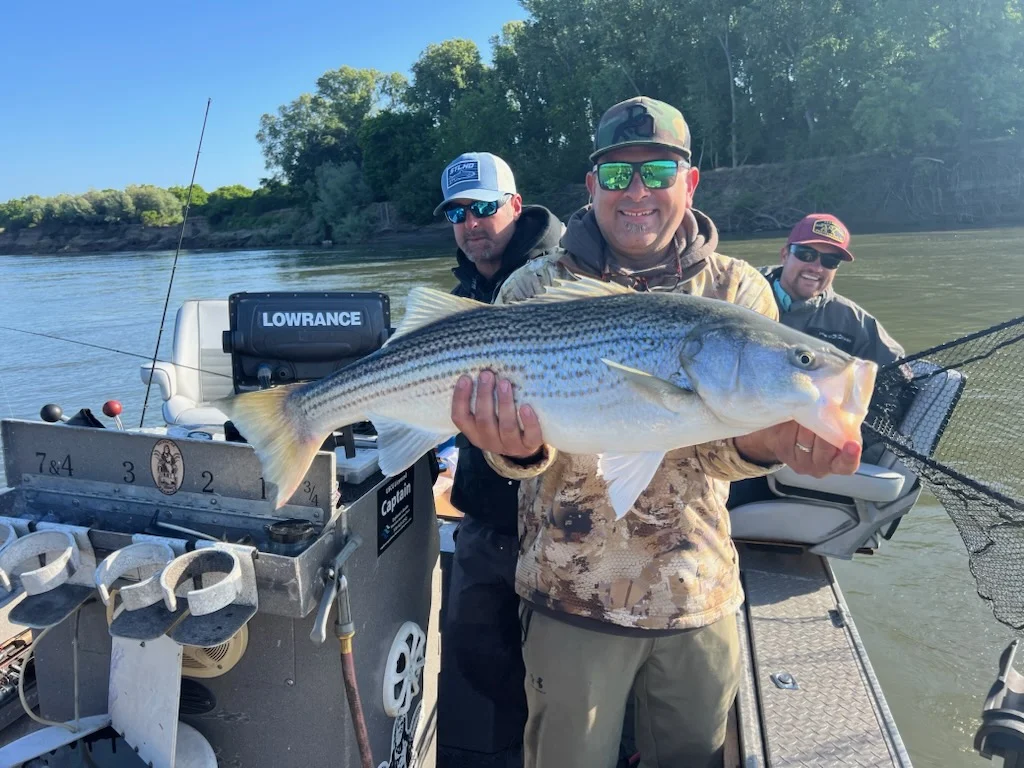 Fishing in Knights Landing, California