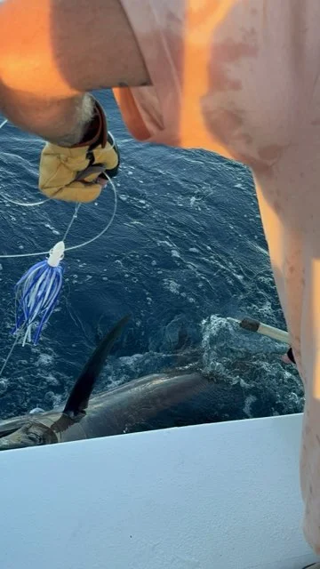 Gag Grouper Fishing in Panama City, Florida