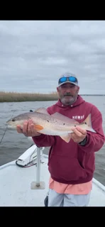 Fishing in Pensacola, Florida