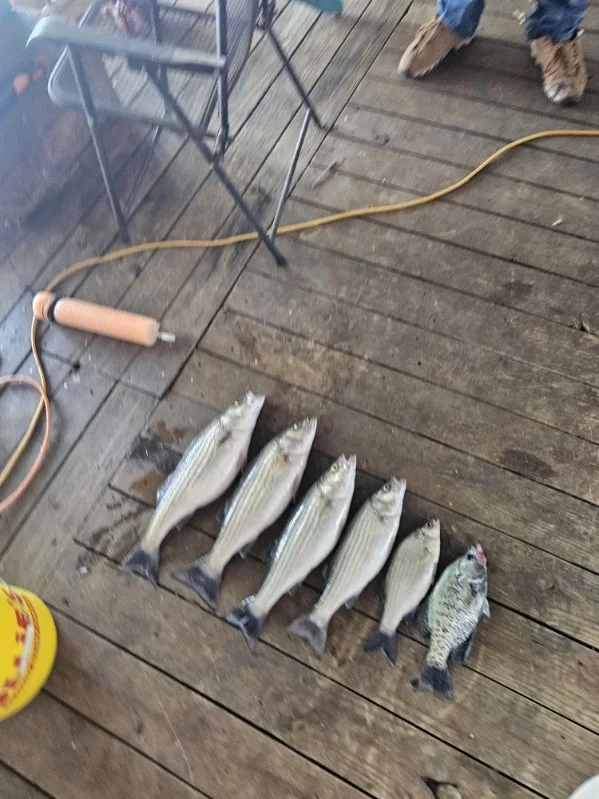 Fishing in Kingston, Oklahoma