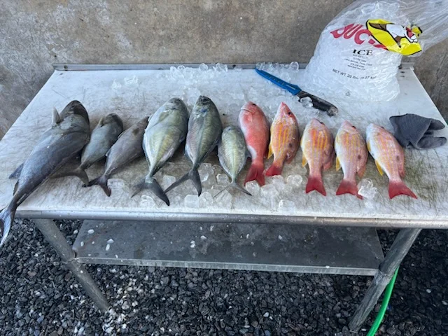 Fishing in Port Orange, Florida