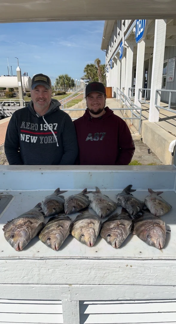 Sheepshead Fishing in Galveston, Texas
