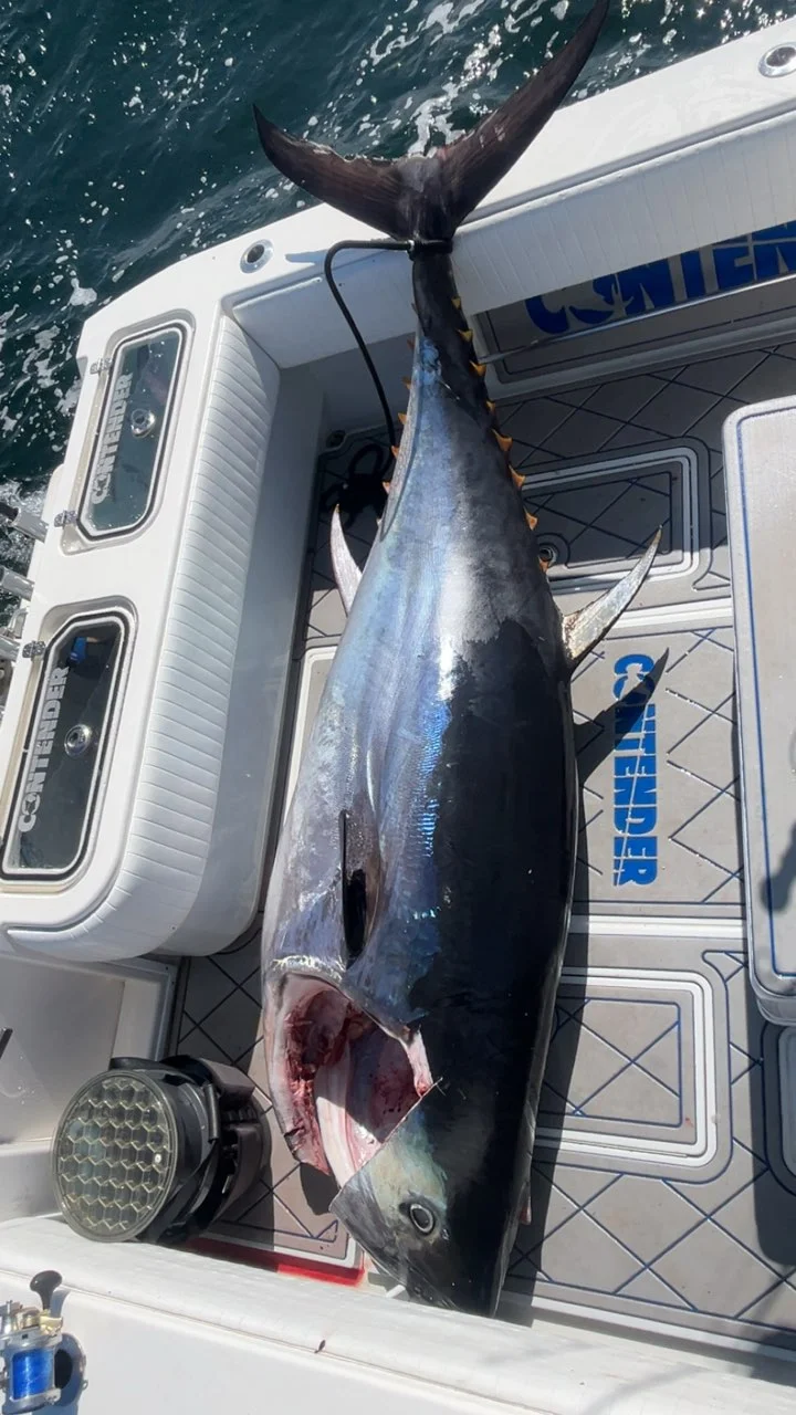 Fishing in Dennis, Massachusetts