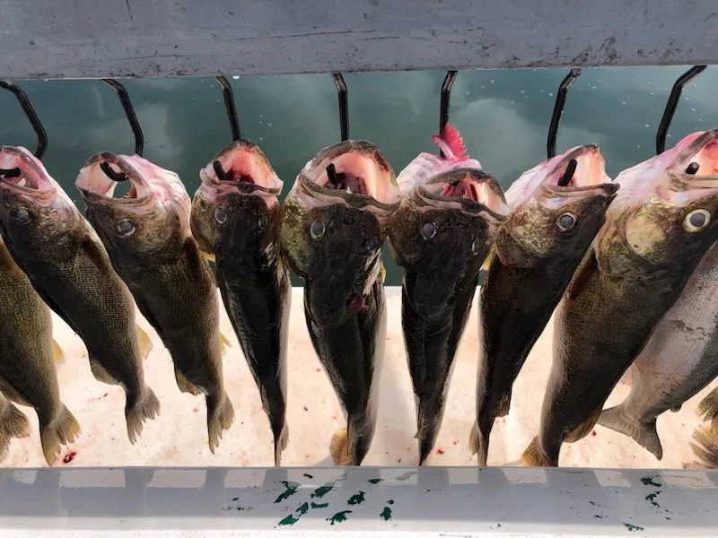 Fishing in Erie, Pennsylvania