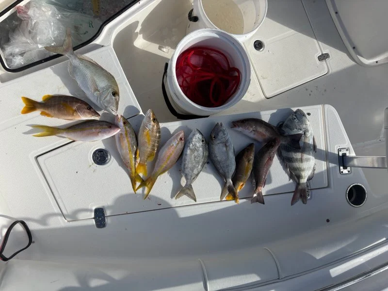 Fishing in Key Largo, Florida