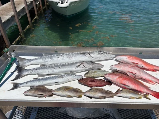 Fishing in Riviera Beach, Florida