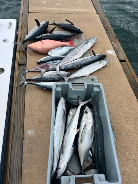 Fishing in Key West, Florida
