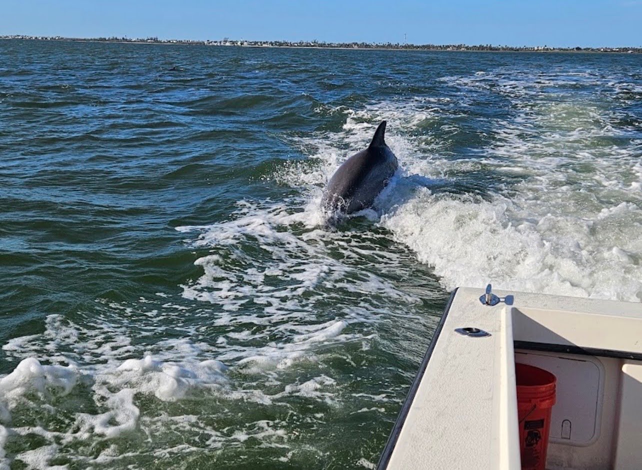 Fishing in Boca Grande, Florida