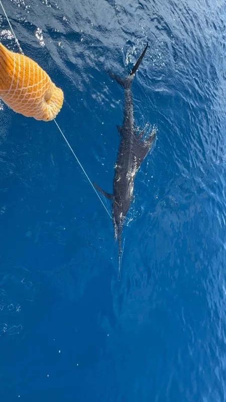 Fishing in Quepos, Costa Rica