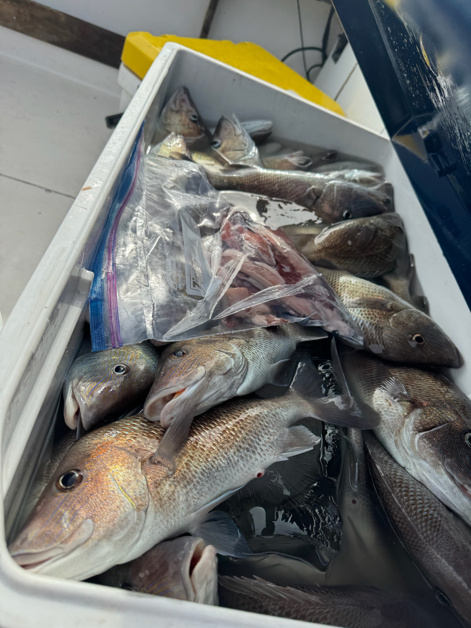 Fishing in Tarpon Springs, Florida
