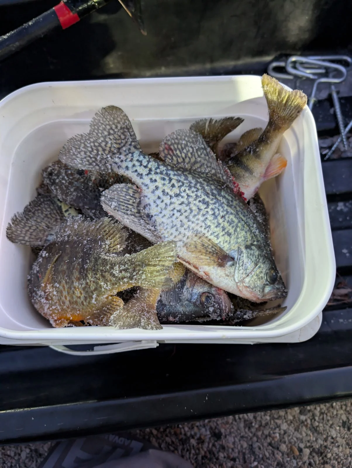 Crappie, Walleye Fishing in Wonder Lake, Illinois