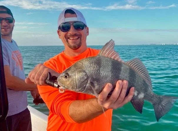Triggerfish Fishing in Sarasota, Florida