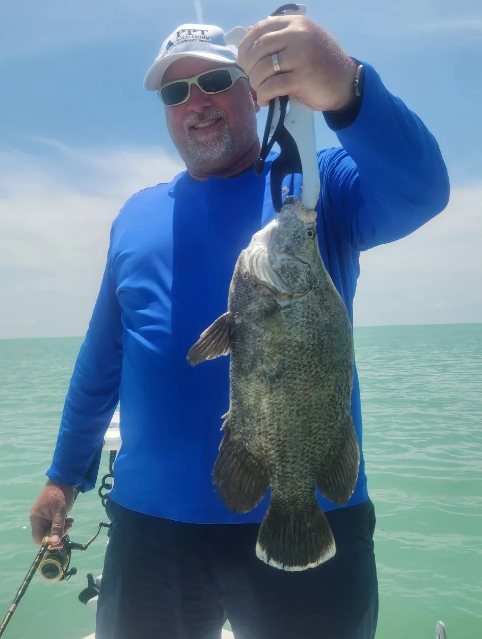 Tripletail Fishing in Islamorada, Florida