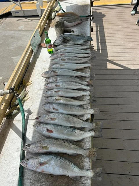 Fishing in Marco Island, Florida
