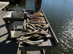 Fishing in New Orleans, Louisiana