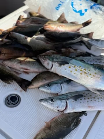 Fishing in Islamorada, Florida