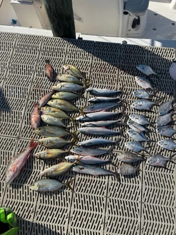Fishing in Key Largo, Florida