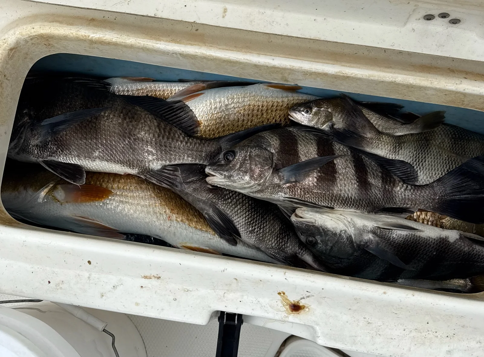 Fishing in Biloxi, Mississippi