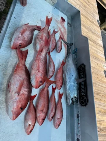 Gag Grouper Fishing in Panama City, Florida