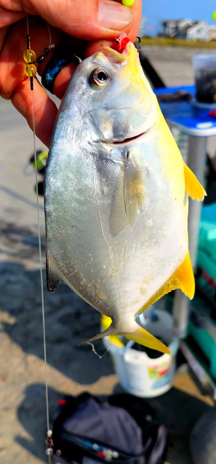 Fishing in Stone Harbor, New Jersey
